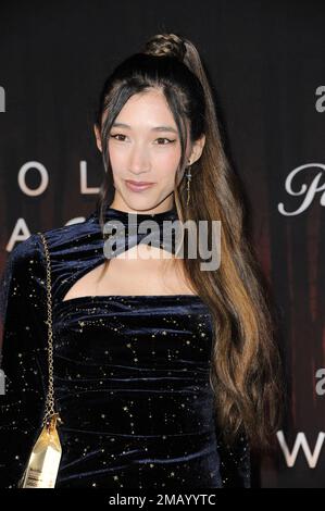 Los Angeles, Kalifornien. 19. Januar 2023. Amy Workman bei Ankunft für WOLF PACK Premiere, Harmony Gold Theater, Los Angeles, CA 19. Januar 2023. Kredit: Elizabeth Goodenough/Everett Collection/Alamy Live News Stockfoto