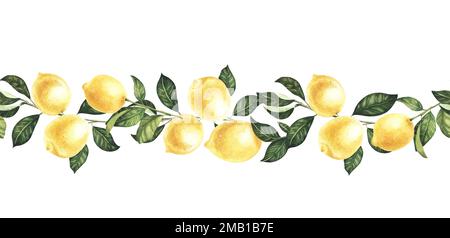 Nahtlose Umrandung mit Zitronenfrüchten, Zitrusblüten und Zweigen. Handgezeichnete Aquarellbilder Stockfoto