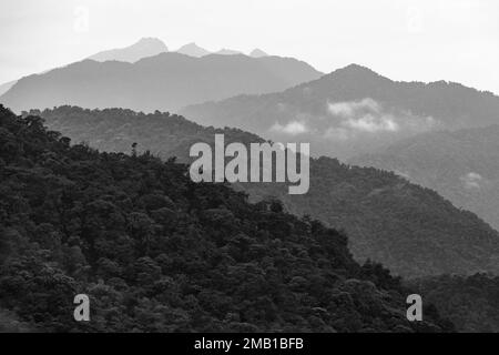 Wolkenwald in den Anden in Schwarz und Weiß. Stockfoto