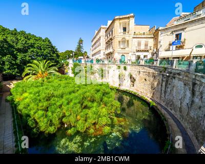 Arethusa Spring in Ortigia - Syrakus, Sizilien, Italien Stockfoto