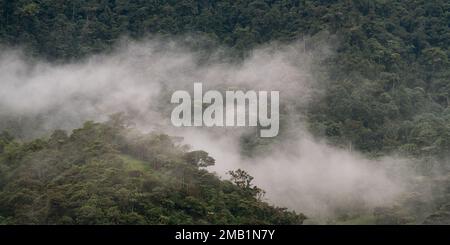 Wolkenwald und Regenwald Panorama, Mindo, Ecuador. Stockfoto