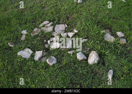 Porträt von Steinfragmenten aus Zement auf einem grünen Grasfeld. Stockfoto