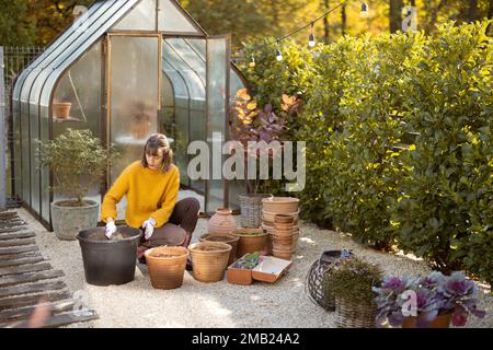 Frau pflanzt Blumen in Krügen im Garten Stockfoto