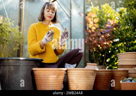 Frau pflanzt Blumen in Krügen im Garten Stockfoto