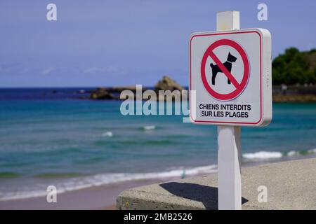 Verbot roter Zeichen Hunde Tiere verboten am Strand Hund Zeichen französischer Text bedeutet Chiens interdits sur les plages Stockfoto