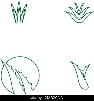 aloe Vera Logo-Material-Illustration-Design Stock Vektor