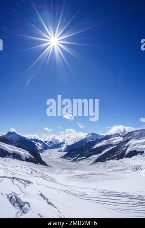 Schauen Sie vom Jungfraujoch auf den Aletsch-Gletscher. Der Gletscher fließt zwischen den Bergen. Grindelwald, Berner Alpen, Schweiz, Europa Stockfoto