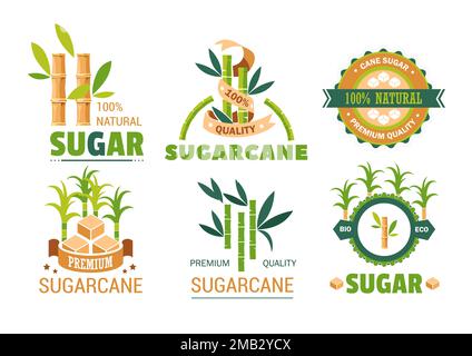 Zuckerrohr isolierte Ikonen Pflanzen- und Süßstoffproduktion Stock Vektor