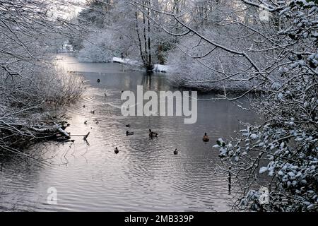 Parkhall See Stockfoto