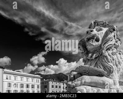 Schwarzweißblick auf einen der Marmorlöwen auf der Piazza Aranci, Massa, Italien Stockfoto