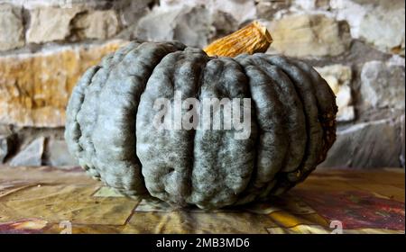 Biologisch angebaute Kürbis Stockfoto