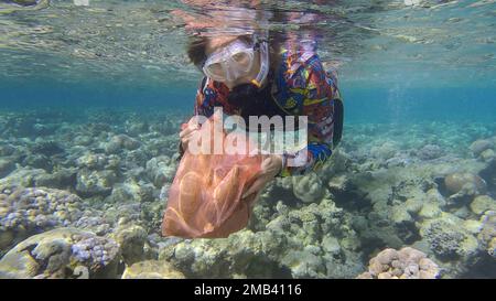 Frau in Tauchausrüstung schwimmt und sammelt Plastikmüll unter Wasser auf dem Boden des Korallenriffs. Schnorchler reinigt Ozean von Plastikverschmutzung. Stockfoto