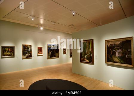 Alkmaar, Niederlande. Januar 2023. Einer der Räume im Stedelijk Museum in Alkmaar. Hochwertiges Foto Stockfoto