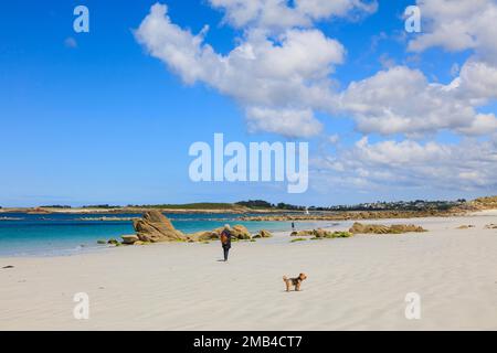 Sandstrand Plage d'Erleach, Saint-Pabu, Communaute de communes du Pays des Abers, Departement Finistere Penn-ar-Bed, Region Bretagne Breizh Stockfoto