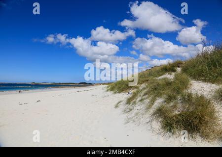 Sandstrand Plage d'Erleach, Saint-Pabu, Communaute de communes du Pays des Abers, Departement Finistere Penn-ar-Bed, Region Bretagne Breizh Stockfoto