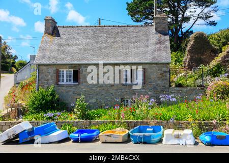 Blütenmeer in einem Garten am Quai du Stellach in Aber Benoit, Saint-Pabu, Communaute de communes du Pays des Abers, Departement Finistere Stockfoto