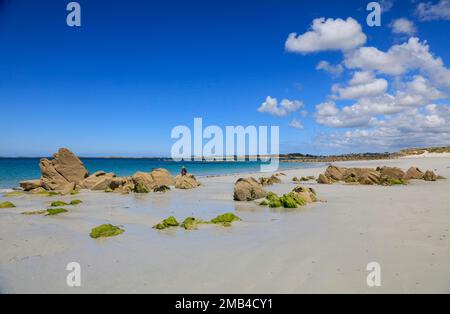 Sandstrand Plage d'Erleach, Saint-Pabu, Communaute de communes du Pays des Abers, Departement Finistere Penn-ar-Bed, Region Bretagne Breizh Stockfoto