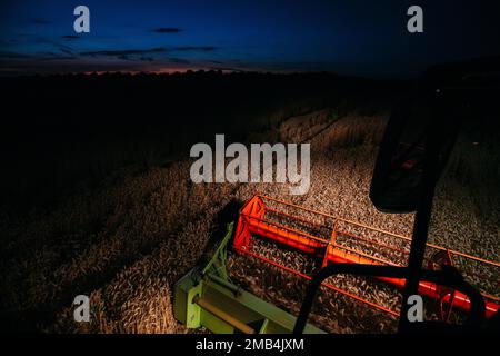 Claas Combine 540 Lexion Weizenernte Nacht Stockfoto
