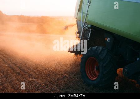 Claas Combine 540 Lexion Weizenernte Abendlicht Stockfoto