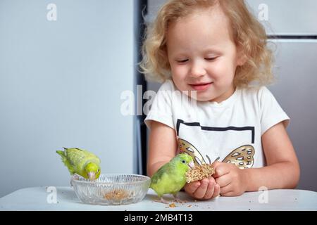 Süßes Mädchen füttert zwei forpus-Papageien. Exotische Haustiere, süßer Forpus-Papagei mit Hirse-Sprühfutter, Forpus-Papagei ist jetzt berühmtes kleines Vogeltier in Thailand Stockfoto