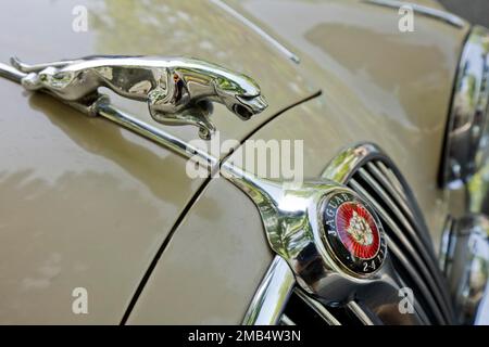 Kühlermaskottchen des Jaguar Mk 2, 2. 4 Liter 1964, Classic Days Berlin, Berlin, Deutschland Stockfoto