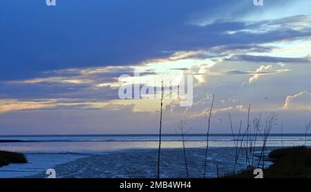 Waddenmeer bei Spieka Neufeld im Bezirk Cuxhaven Stockfoto