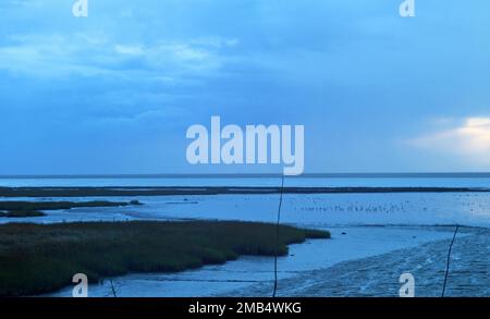 Waddenmeer bei Spieka Neufeld im Bezirk Cuxhaven Stockfoto