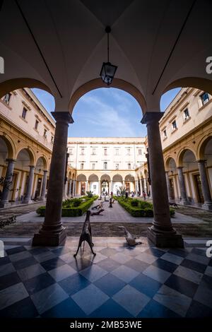 Innenhof des historischen Campus der Rechtsfakultät, Teil der Universität von Palermo, Università degli erivdi Palermo. Stockfoto