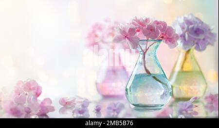 Bouquets wunderschöner Hortensien in bunten Glasvasen vor Bokeh-Hintergrund. Inneneinrichtung des Hauses. Stockfoto