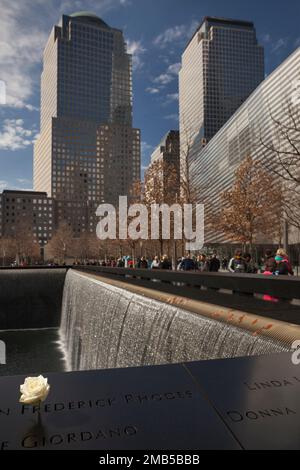 Weiße Rose im Memorial North Pool des World Trade Center, New York Stockfoto