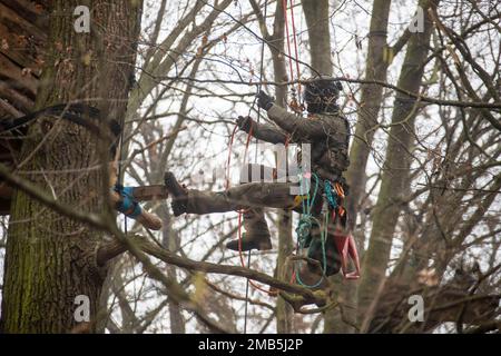 20. Januar 2023, Hessen, Frankfurt/Main: Sonderpolizei räumt den Fechenheimer-Wald der letzten Aktivisten. Diese wollten verhindern, dass die dort befindlichen Bäume in Vorbereitung auf den Bau eines Tunnels geschnitten werden. Foto: Helmut Fricke/dpa Stockfoto