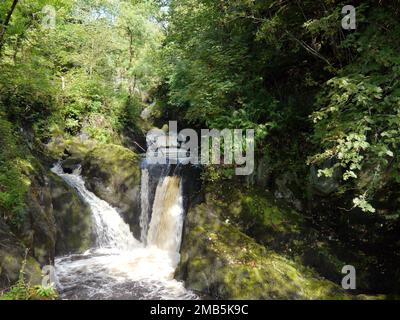 Pecca Falls im River Twiss auf dem Ingleton Waterfalls Trail, Yorkshire Dales National Park, England, Großbritannien. Stockfoto