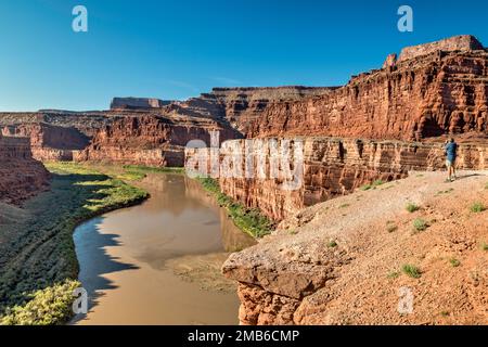 Klippen über dem Colorado River, Goose Neck Area, Mann fotografiert, Blick vom Gooseneck Overlook, Potash Road, in der Nähe des Canyonlands National Park, Utah, USA Stockfoto