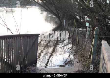 Marlow, Buckinghamshire, Großbritannien. 20. Januar 2023. Der überflutete Themspfad. Die Themse in Marlow ist nach starkem Regen Anfang Januar am Ufer geplatzt. Der Wasserstand sinkt, aber es gibt Eis auf dem Themsenpfad, wo das Wasser gefroren ist. Die Wasserstände befinden sich jetzt an einigen Stellen auf derselben Höhe wie der Pfad. Für die Themse von Hurley bis Cookham, einschließlich Marlow, ist weiterhin eine Hochwasserwarnung aktiv. Kredit: Maureen McLean/Alamy Live News Stockfoto