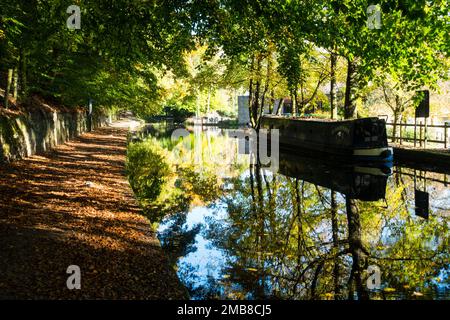 Sonniger Herbsttag am Huddersfield Canal in Uppermill, Oldham, Greater Manchester, Großbritannien. Stockfoto