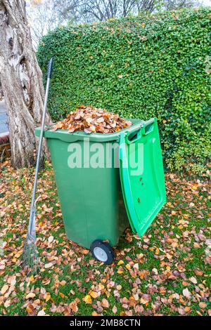 Recyclingbehälter voller Herbstblätter. UK. Stockfoto