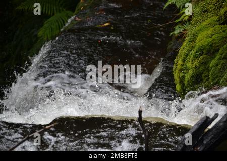 Eine Nahaufnahme des schäumenden Wasserstroms, der den Wasserfall von den moosbedeckten Felsen in Southland, Neuseeland, hinunterfließt Stockfoto