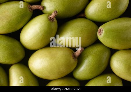 Makroansicht von ceylon-Oliven oder wilden Oliven, elaeocarpus serratus, einem Haufen glatter, ovalförmiger tropischer Früchte im Vollformat, Fruchthintergrund Stockfoto