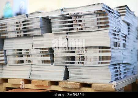 Bündel neu gedruckter Kataloge, die in einer modernen Druckerei auf Holzpaletten gestapelt werden Stockfoto