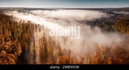 Luftlandschaft mit wunderschönem Nebel über einer kleinen Stadt, umgeben von Goldbäumen Stockfoto