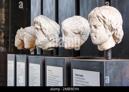 Zierbüsten im Kolosseum in Rom, Italien Stockfoto