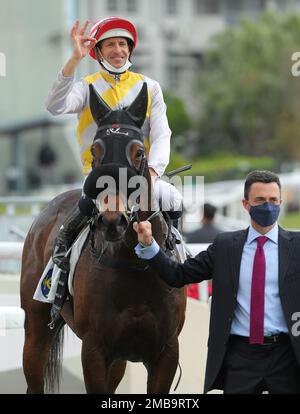 Rennen 5, TAMRA BLITZ, geritten von Hugh Bowman, gewann die Klasse 4 über 1400m(Turf) in Sha Tin. Douglas Whyte feierte seinen Sieg. Januar 23 SCMP/Kenneth Chan. Stockfoto