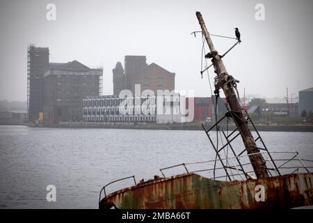 Der Blick über den East Float Dock in Birkenhead in Richtung einer städtischen Splash-Wohnungsbaustelle in Wirral Waters Wirral Waters wird Teil des Liverpool City Region Freeport sein, der kürzlich von der konservativen Regierung angekündigt wurde. Stockfoto