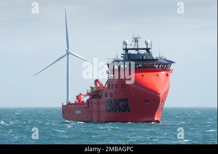 Westermost Rough Wind Farm, 2015. Das Spezialschiff Sea Challenger und eine 6MW-Windturbine auf der Westermost Rough Wind Farm. Sea Challenger gehört A2Sea und ist ein speziell für die Installation von Windturbinen gebautes Spezialschiff. Das Foto wurde kurz nach der Fertigstellung aufgenommen, um den Standort zu zeigen. Stockfoto