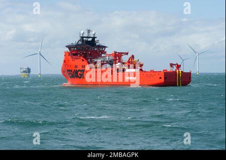 Westermost Rough Wind Farm, 2015. Das Spezialschiff Sea Challenger auf der Westermost Rough Wind Farm mit der Umspannstation und 6MW Windturbinen im Hintergrund. Sea Challenger gehört A2Sea und ist ein speziell für die Installation von Windturbinen gebautes Spezialschiff. Das Foto wurde kurz nach der Fertigstellung aufgenommen, um den Standort zu zeigen. Stockfoto