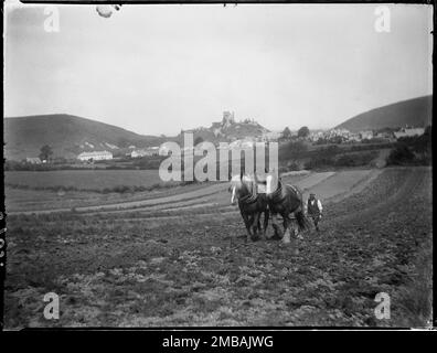 West Street, Corfe Castle, Purbeck, Dorset, 1927. Ein Mann mit Pferden pflügt ein Feld mit Corfe Castle in der Ferne. Im Negativindex für die Sammlung hat der Fotograf aufgezeichnet, dass das Feld einige Zuweisungen hatte. Das Feld befindet sich vermutlich südlich von Corfe Castle, und das Bild zeigt Streifenfelder im Hintergrund. Stockfoto