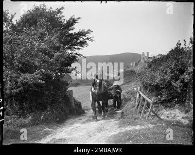 Sandy Hill Lane, Corfe Castle, Purbeck, Dorset, 1927. Ein Mann mit einem Pferdewagen, der durch ein Tor über der Sandy Hill Lane geht, mit den Ruinen von Corfe Castle und dem Dorf in der Ferne. Stockfoto