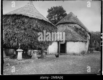 Draycott, Rodney Stoke, Mendip, Somerset, 1907. Eine strohgedeckte Hütte und ein strohgedeckter Heuhaufen auf Steinen in Draycott. Stockfoto