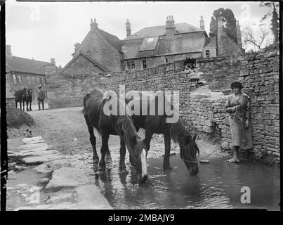 Burford, West Oxfordshire, Oxfordshire, 1924. Eine Frau sah zu, wie ihre beiden Pferde im ford neben der Brücke über den Fluss Windrush in Burford Wasser tranken. Stockfoto