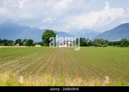 Tenero, Schweiz - 28. Mai 2018: Verschiedene Aktivitäten des Sportzentrums. Stockfoto